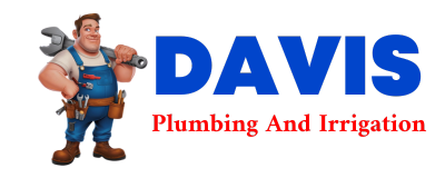 Trusted plumber in PIERRON